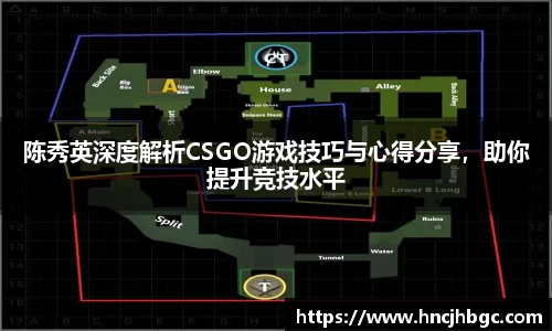 陈秀英深度解析CSGO游戏技巧与心得分享，助你提升竞技水平
